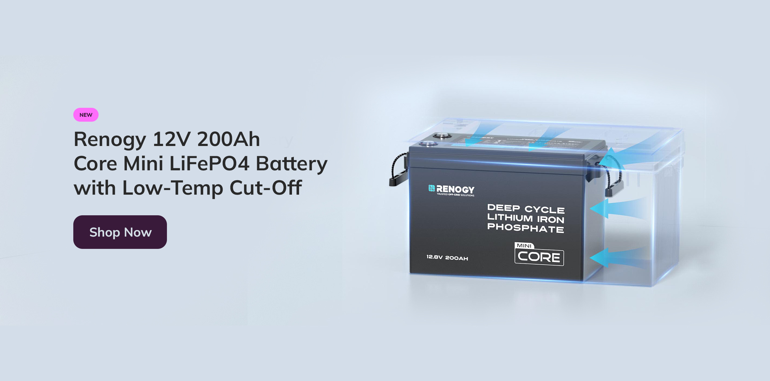 Renogy 12V 200Ah Core Mini LiFePO4 Battery